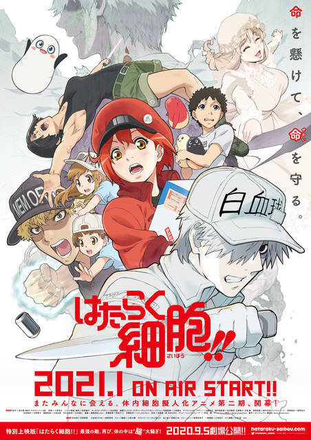 はたらく細胞 が第２位 21冬アニメ期待度ランキング 約ネバ ワートリ は何位 21年1月11日 エキサイトニュース