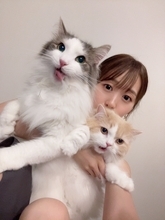 芹澤優「かわいい×かわいい×かわいい」連載用自撮り写真のアザーカットを公開【numan猫部】
