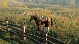 「リアルな「馬」の飼育を楽しめるオープンワールド馬育成ゲーム『My Horse: Bonded Spirits』発表。馬との絆を深めて調教しレースに出場。飼育しながら広大な自然を乗馬で駆け回ろう」の画像5