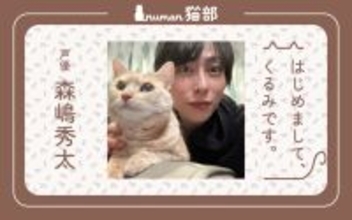 【numan猫部まとめ】芹澤優、森嶋秀太、蒼木陣、大原海輝…“猫推し”たちの投稿を一気読み！