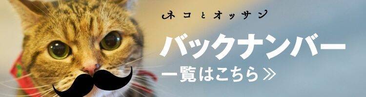 性格バラバラな女子トリオ ネコ てんてん むぎ しるこ 17年10月12日 エキサイトニュース 性格バラバラな女子トリオ ネコ てんてん むぎ しるこ 17年10月12日 エキサイトニュース