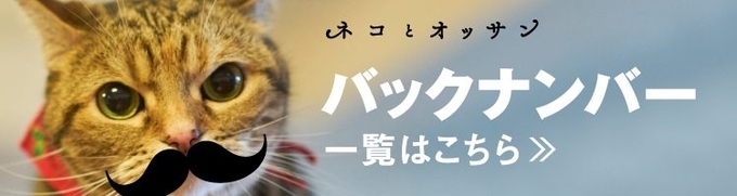 猫におしゃぶりを与えたら ちゅうちゅう が病み付きに 動画 17年1月13日 エキサイトニュース