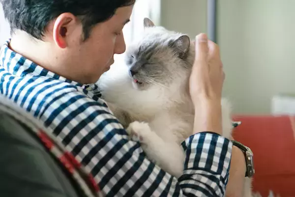 「オッサンだってネコが好き！ 1年間の集大成「ネコ・オブ・ザ・イヤー」発表【後編】」の画像