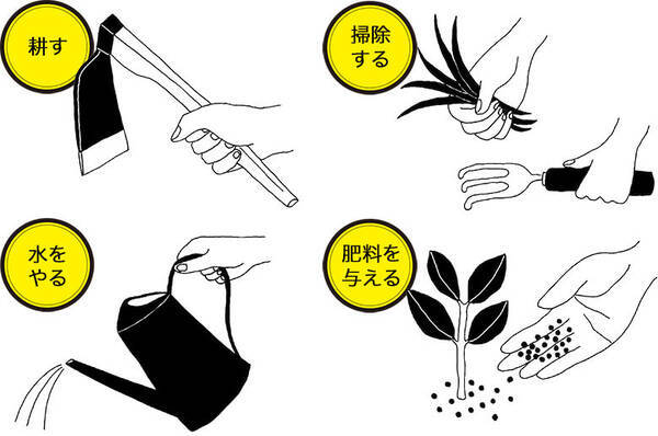 毛髪豊穣の頭皮改革 健やかな髪を育むために必要な4つの作業 年5月1日 エキサイトニュース