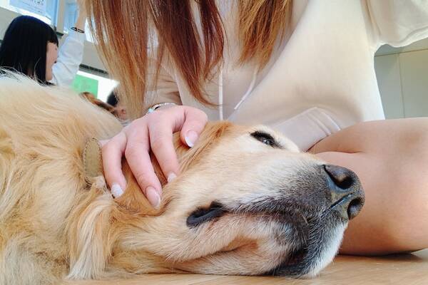 渋谷の麻雀バーで プロ雀士の看板娘が入浴剤と犬カフェで癒されていた 年4月16日 エキサイトニュース