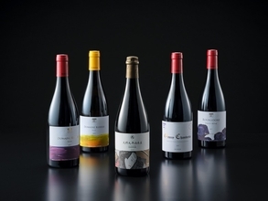 日本酒の名門が、仏ブルゴーニュに進出。本気で造ったワインが想像以上！