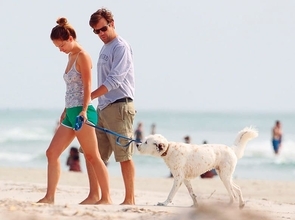 ドローンに、ドッグウォーキングに、フリスビー！ 海遊びの方法は無限だ