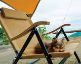 「「テントが雨漏り」「椅子が直角」実体験に学ぶ“失敗しない”キャンプギア選び」の画像4