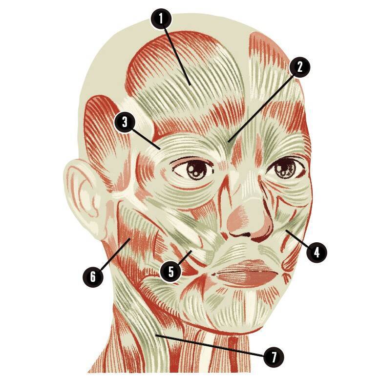 エステで顔の筋トレ たるんだ顔を引き締める 筋膜リリース を体験してみた 21年10月7日 エキサイトニュース 3 4