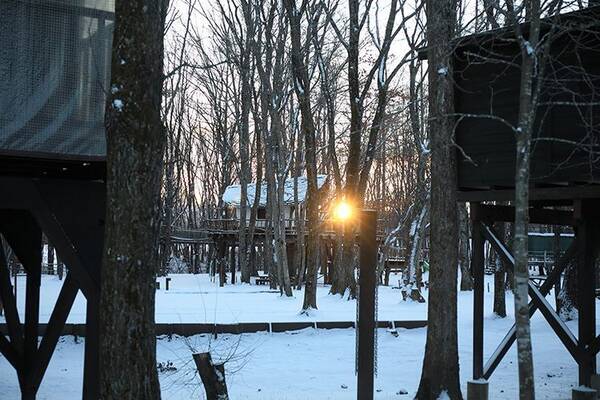 じつは朝が一番楽しい スノーキャンプ 雪の結晶観察とグルメの贅沢 2019年2月4日 エキサイトニュース