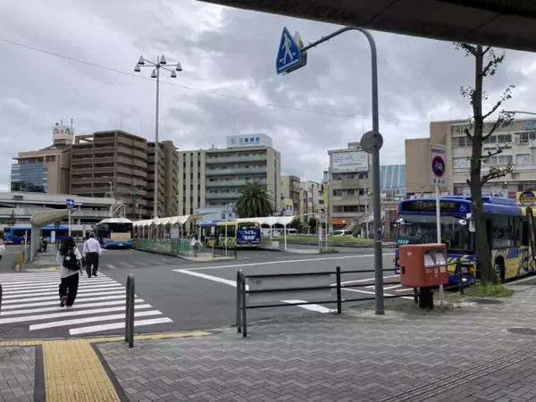 「スズキナオ　バンジージャンプをするつもりで家を出る」の画像