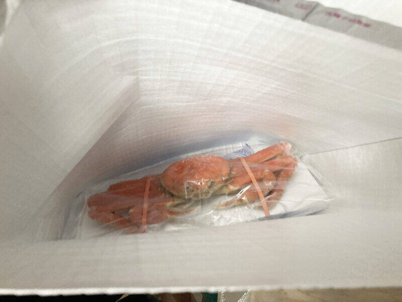 スズキナオ　行き先のわからないツアーに参加する