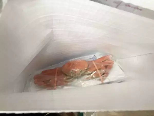 「スズキナオ　行き先のわからないツアーに参加する」の画像