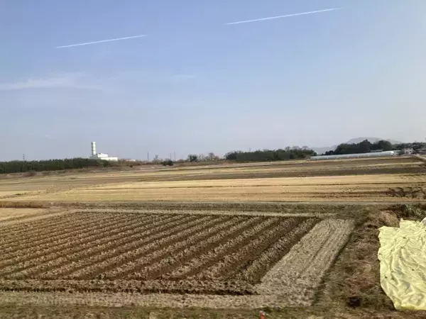 「スズキナオ　行き先のわからないツアーに参加する」の画像