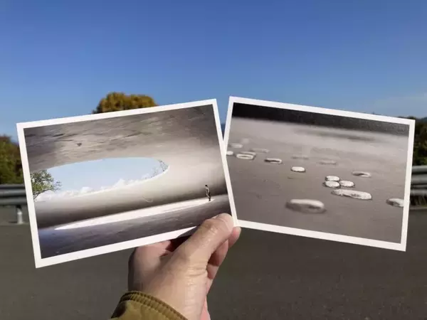 「スズキナオ　豊島美術館とたよりないもののために」の画像