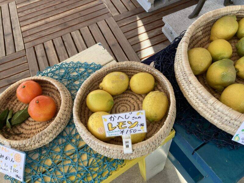 スズキナオ　豊島美術館とたよりないもののために