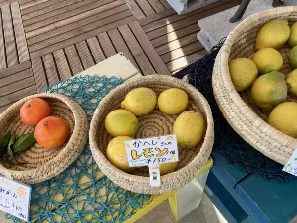 「スズキナオ　豊島美術館とたよりないもののために」の画像