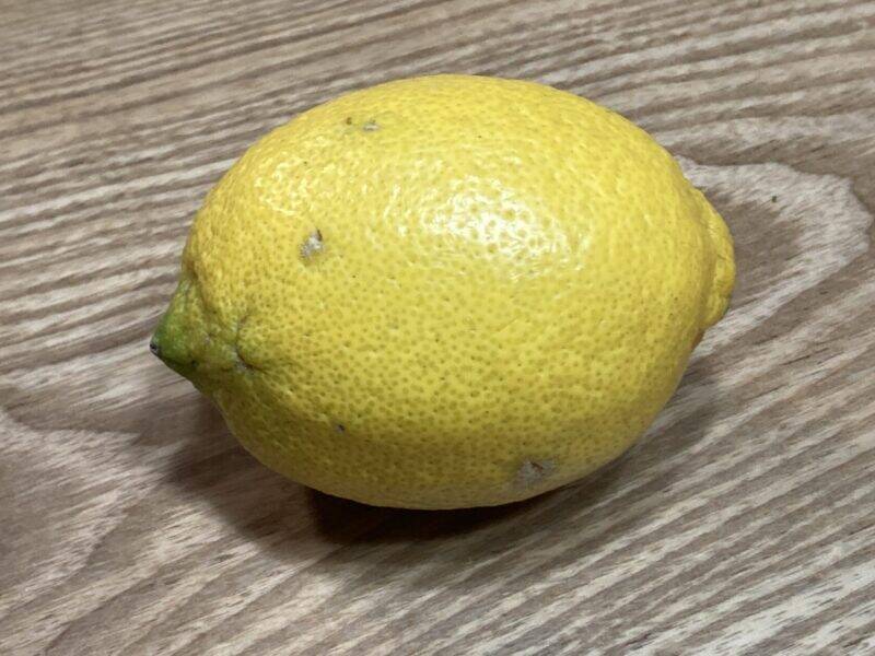 スズキナオ　豊島美術館とたよりないもののために