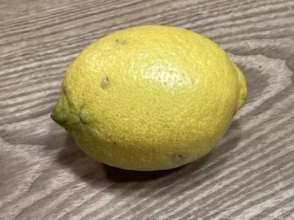 「スズキナオ　豊島美術館とたよりないもののために」の画像