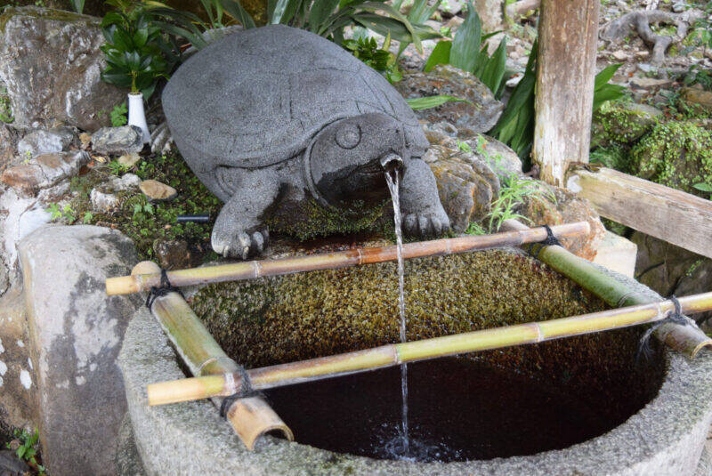 スズキナオ　モンキーパークで猿にリンゴを渡したり長寿になったりした