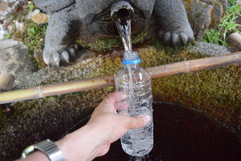 スズキナオ　モンキーパークで猿にリンゴを渡したり長寿になったりした