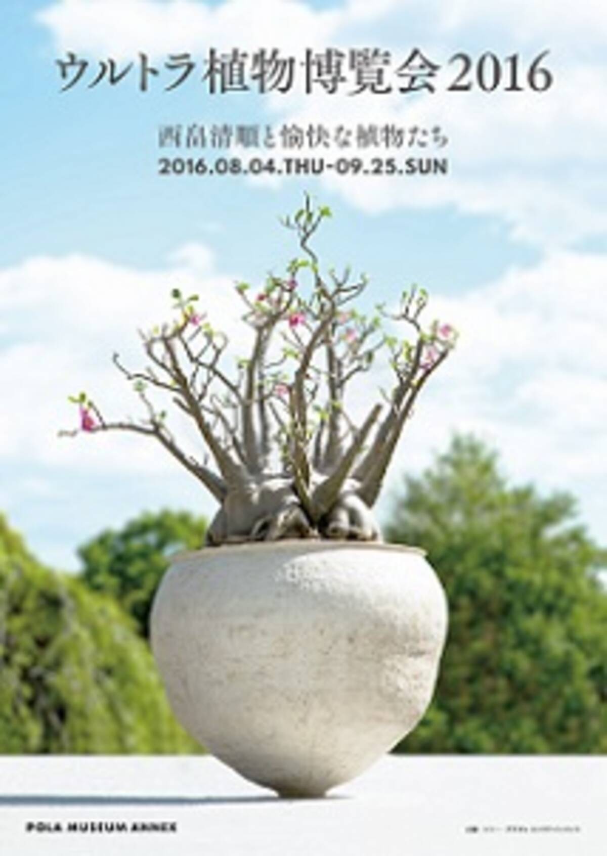 希少植物をこの目で プラントハンター 西畠清順の ウルトラ植物博覧会 16年8月3日 エキサイトニュース