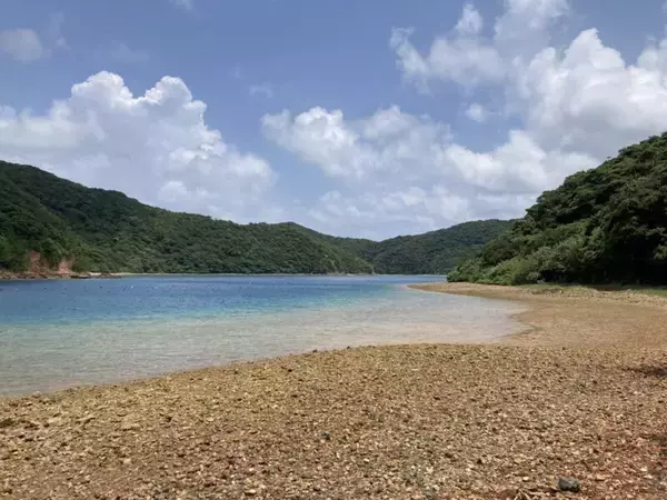 スズキナオ　20年後、やっと加計呂麻島へ行く