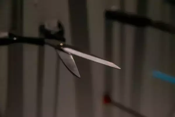 「にじさんじ・ましろ爻推薦『恐怖心展』がついに書籍化！梨のサイン会も12月28日開催」の画像