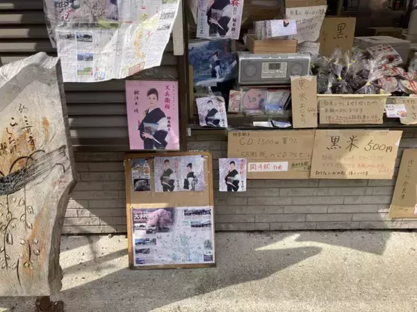 「スズキナオ　一本の桜を見に行く旅」の画像