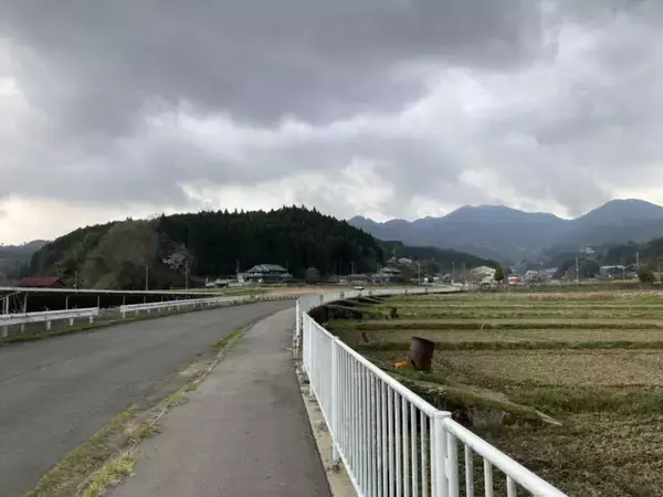 「スズキナオ　一本の桜を見に行く旅」の画像
