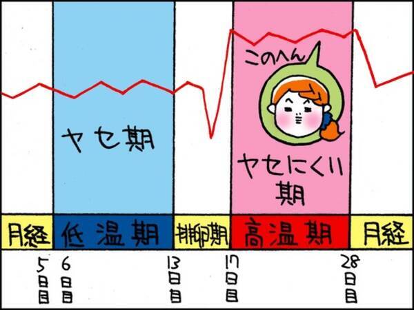 生理周期も怖くない 生理前や生理中のダイエットを成功させるポイント 14年2月23日 エキサイトニュース