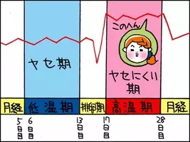 ダイエット中は要注意 生理前に太らないための方法 21年6月4日 エキサイトニュース