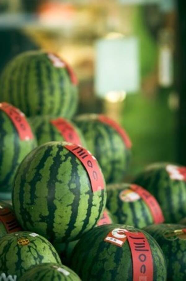 あれが実は野菜だった 野菜と果物の違いを知る方法 14年6月22日 エキサイトニュース