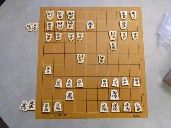 将棋の日 特集 発祥はどこの国 どうしたら強くなる 囲碁と将棋どちらが好き 14年11月17日 エキサイトニュース