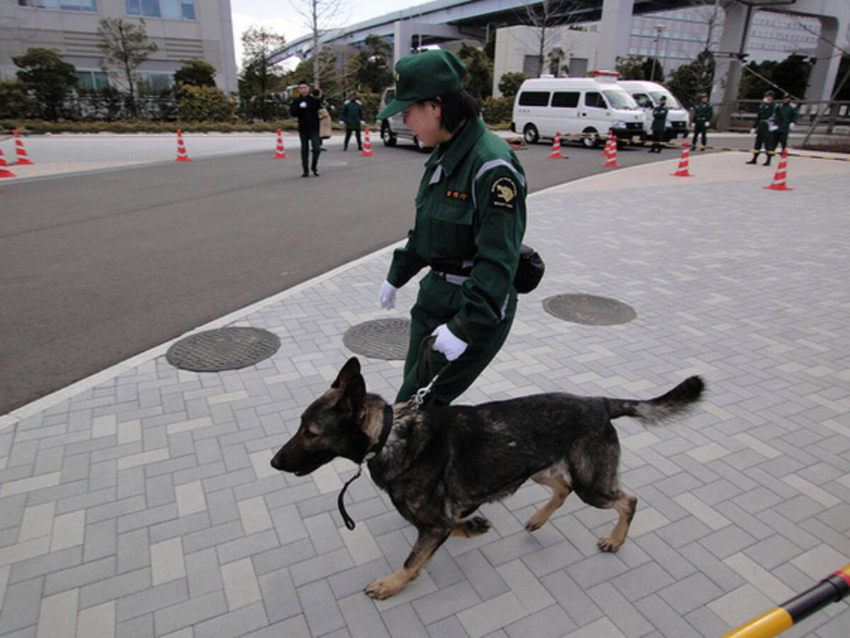 警察犬ガイド シェパードが多い理由 警察カラスがいたら 引退後はどうなる 16年6月24日 エキサイトニュース 2 8