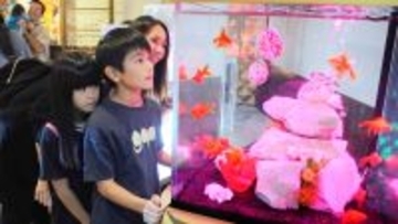 金魚「琉金」と琉球ガラスの華やかな共演　北中城村で「沖縄金魚ミュージアム」 6月9日まで