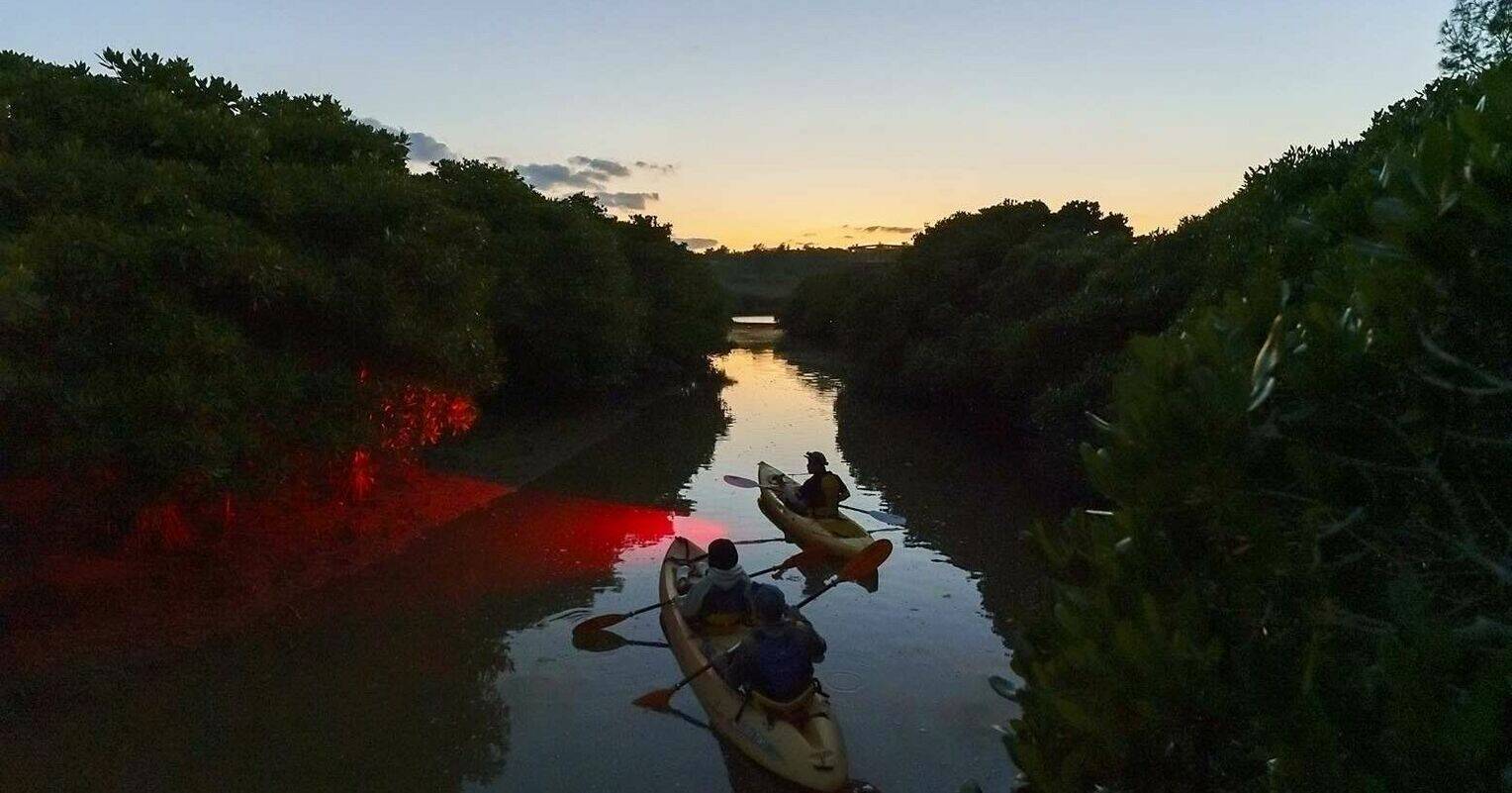 自然の中で大冒険　泥だらけで遊ぶ　沖縄・金武のネイチャーみらい館【ＧＷ⑥】