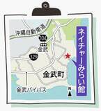「自然の中で大冒険　泥だらけで遊ぶ　沖縄・金武のネイチャーみらい館【ＧＷ⑥】」の画像3