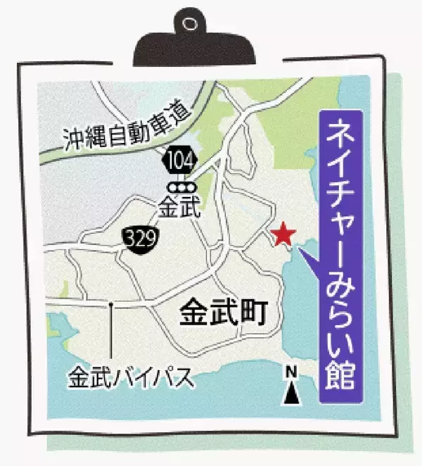 「自然の中で大冒険　泥だらけで遊ぶ　沖縄・金武のネイチャーみらい館【ＧＷ⑥】」の画像
