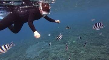 【北谷町】観光中に行きやすい浜川漁港発ダイビング＆シュノーケル『DiveRock(ダイブロック)』水中写真無料プレゼント付き♪【美ら浜つーしん】