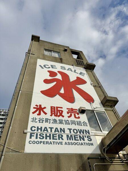 【北谷町】観光中に行きやすい浜川漁港発ダイビング＆シュノーケル『DiveRock(ダイブロック)』水中写真無料プレゼント付き♪【美ら浜つーしん】