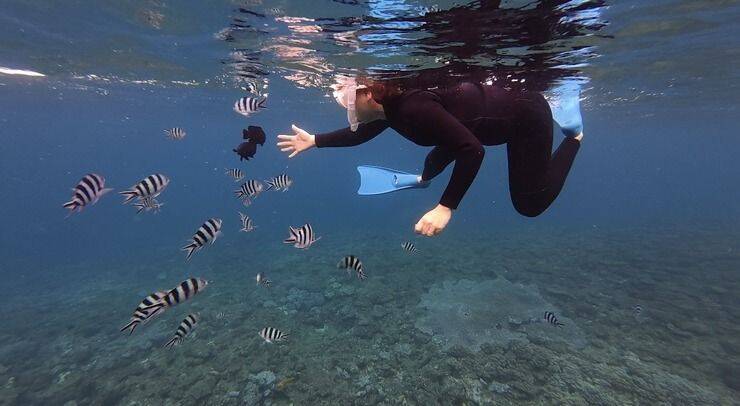 【北谷町】観光中に行きやすい浜川漁港発ダイビング＆シュノーケル『DiveRock(ダイブロック)』水中写真無料プレゼント付き♪【美ら浜つーしん】