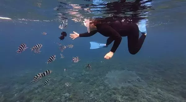 「【北谷町】観光中に行きやすい浜川漁港発ダイビング＆シュノーケル『DiveRock(ダイブロック)』水中写真無料プレゼント付き♪【美ら浜つーしん】」の画像