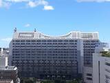 「沖縄知事選、ポスターやのぼり旗367件に撤去命令　県選管が公選法違反と判断」の画像1