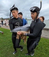 沖縄・石川ビーチに“迷子”のイルカ　水族館職員らが救出作戦　住民も協力「元気になって」【動画あり】