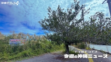 構想から10年以上、沖縄県の「大型MICE施設」建設予定地はいま【10月18日～24日 タイムス＋プラスから】