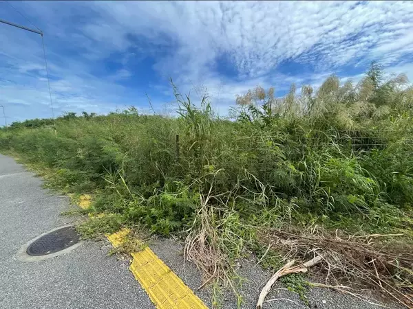 「構想から10年以上、沖縄県の「大型MICE施設」建設予定地はいま【10月18日～24日 タイムス＋プラスから】」の画像