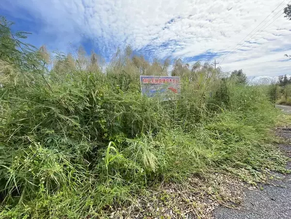 「構想から10年以上、沖縄県の「大型MICE施設」建設予定地はいま【10月18日～24日 タイムス＋プラスから】」の画像