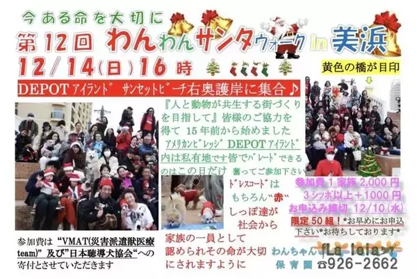 【北谷町】わんちゃんとアメリカンビレッジをパレード『第12回 わんわんサンタウォーク in 美浜』2025年12月14日(日)開催♪【美ら浜つーしん】