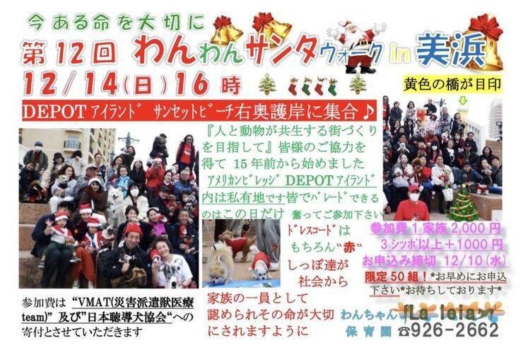 【北谷町】わんちゃんとアメリカンビレッジをパレード『第12回 わんわんサンタウォーク in 美浜』2025年12月14日(日)開催♪【美ら浜つーしん】